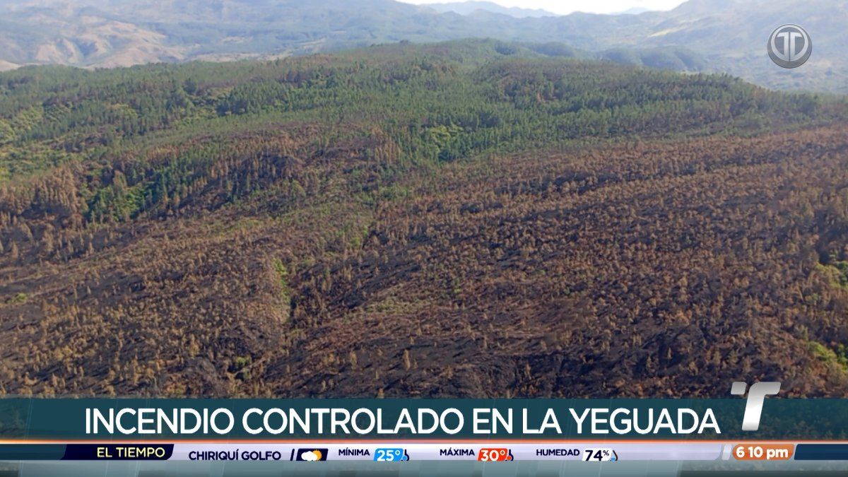 Aerial view of burnt forest and smoke in the La Yeguada Reserve with emergency response activity