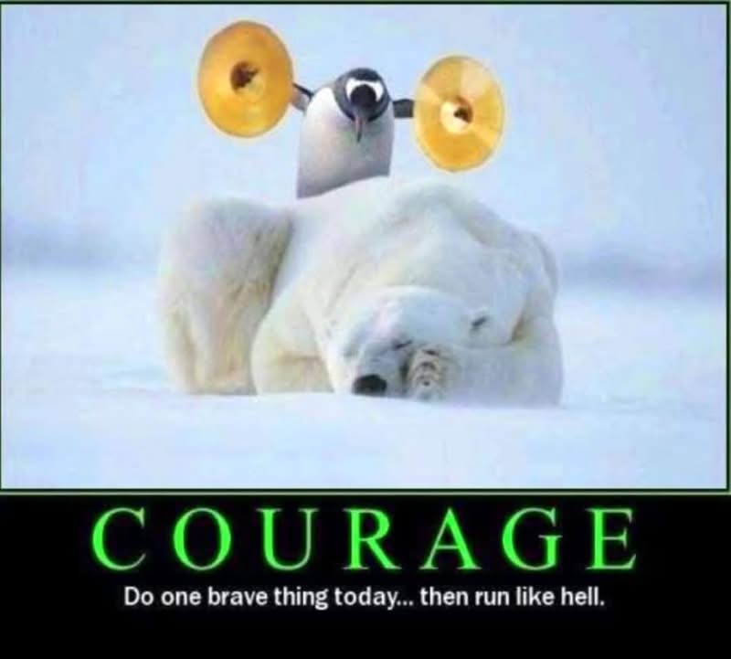 Featured image file named '1Courage.jpg' accompanying Newsroom Panama's 'Your Morning Smile' post, likely a humorous or uplifting illustration