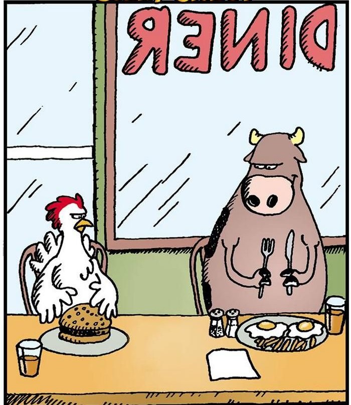 Light-hearted photo showing a cow with a small chick used to illustrate Newsroom Panama's 'Your Morning Smile' post.