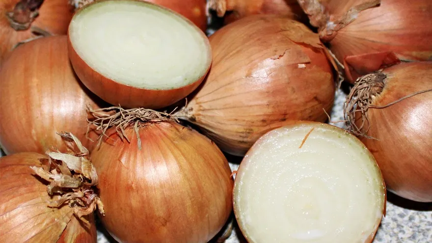 Sacks of onions stacked at an agrotienda or agricultural store ready for distribution to consumers