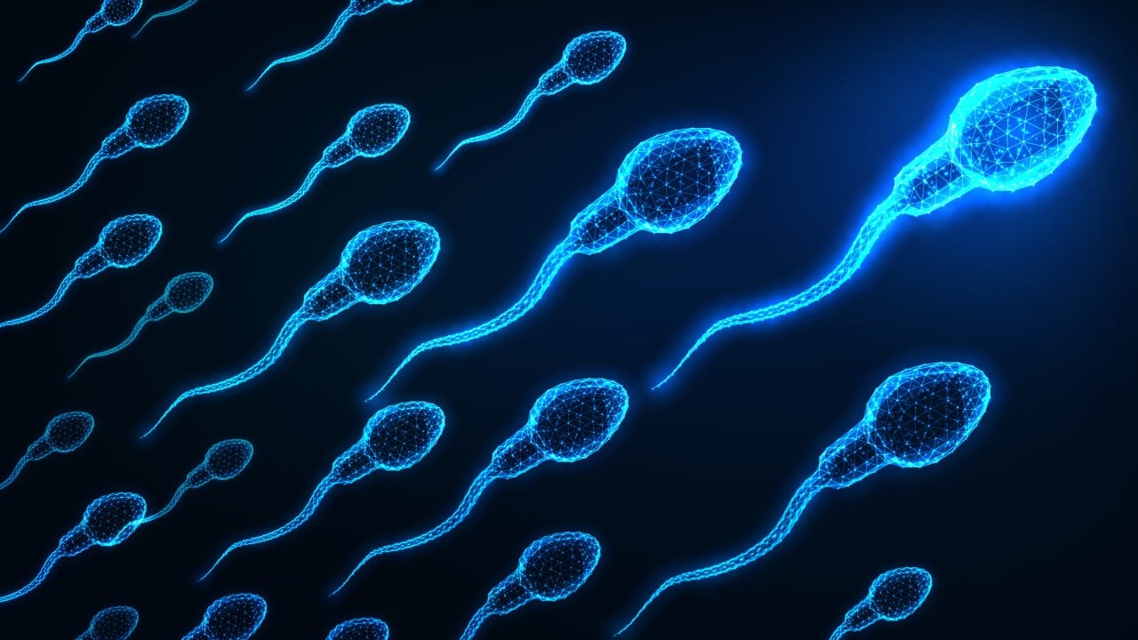 Illustration or lab image showing a tiny plastic microfluidic obstacle course used to test sperm movement under simulated microgravity