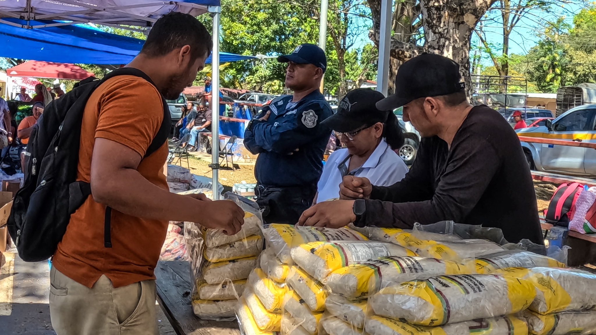 Shoppers browsing stalls of fresh produce at an outdoor agro‑fair with vendors and colorful fruits and vegetables
