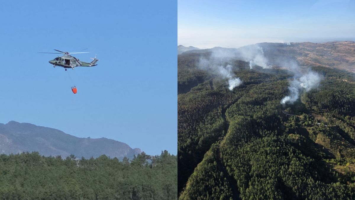 Burnt vegetation and smoke in a forested area representing fires in La Yeguada, with officials responding