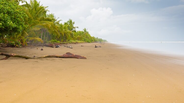 Las Lajas beach shoreline with waves and emergency responders on the sand near a stretcher