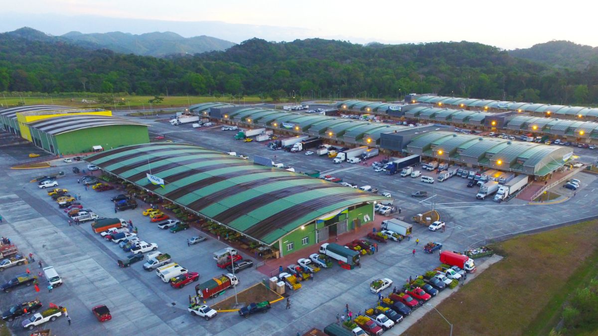 Vendors at Merca Panamá market with produce and market vehicles, illustrating transport and food-supply links
