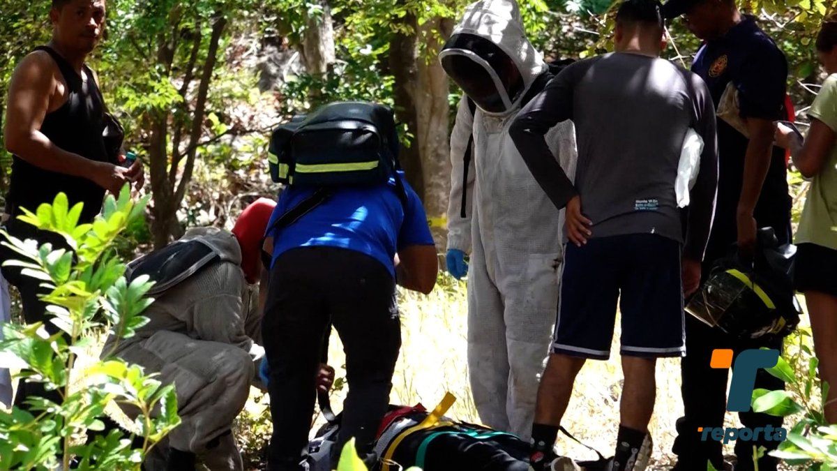 Firefighters and emergency responders assisting people after an africanized bee attack during an outdoor gathering in Penonomé