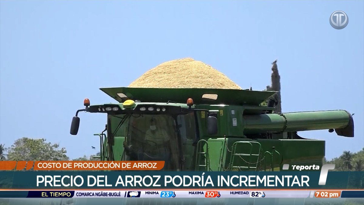 Rice farmers in Panama inspecting a crop field while discussing input costs and agricultural subsidies