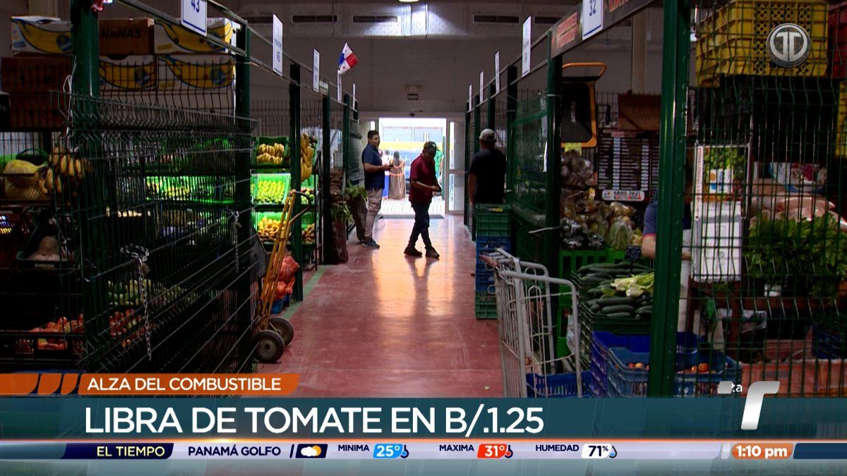 Produce vendors and transport trucks at the La Chorrera wholesale market with boxes of tomatoes and plantains