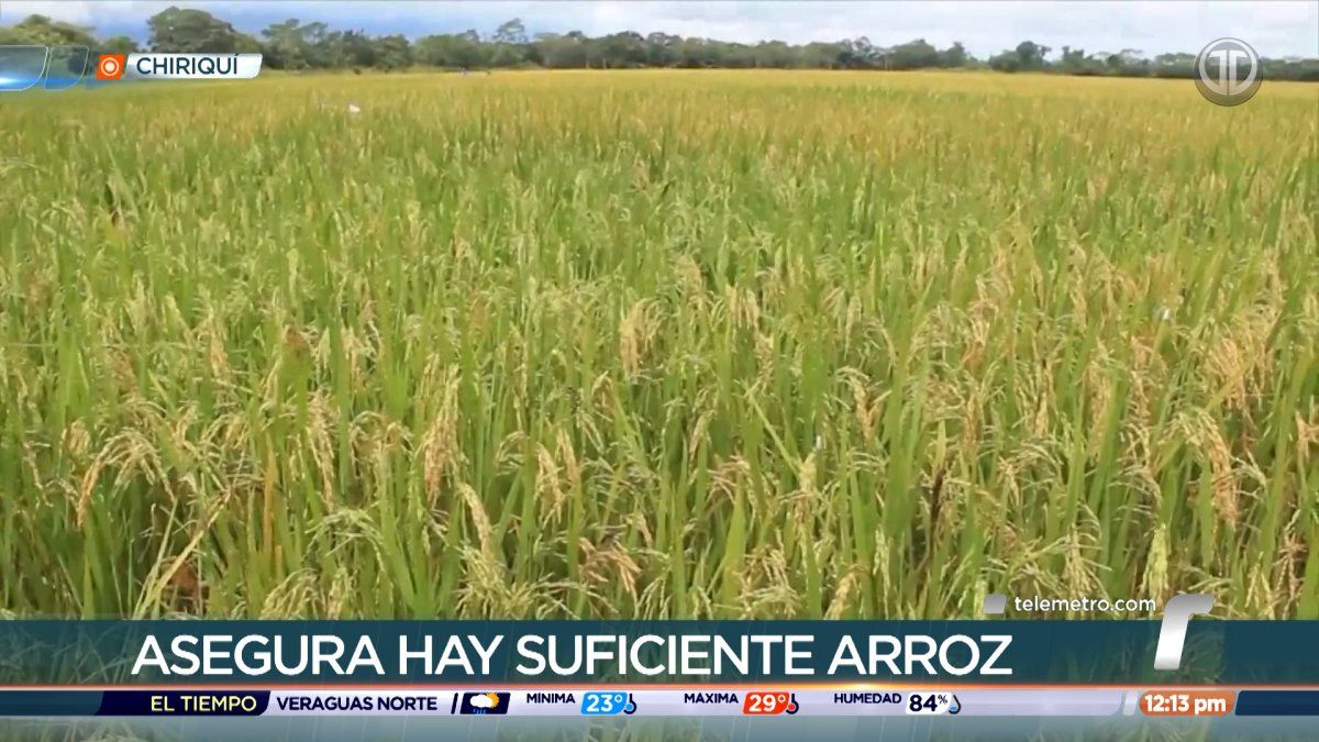 Stacks of rice sacks in a warehouse, reflecting Panama's domestic grain inventory and supply outlook