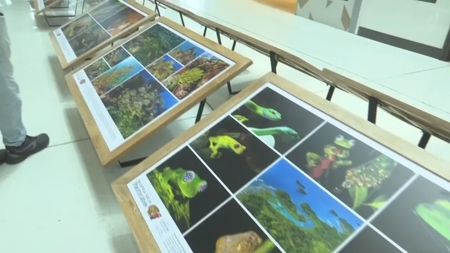 Visitors viewing an exhibition with images and videos about Panama's protected areas and natural ecosystems