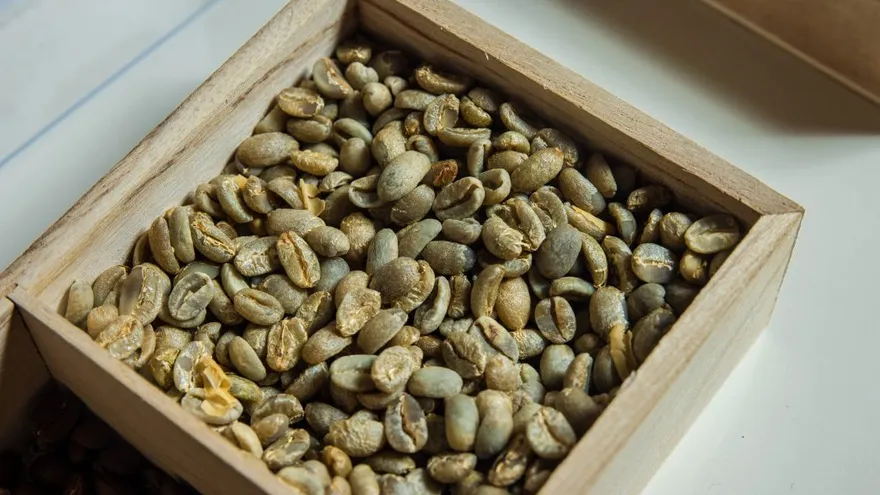 Coffee beans being sorted or packaged for distribution in Panama to help ease a shortage