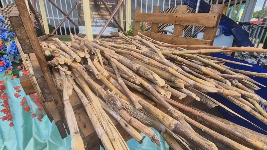 Families enjoying traditional food and artisan displays at a sugar cane festival in Aguadulce, Panama