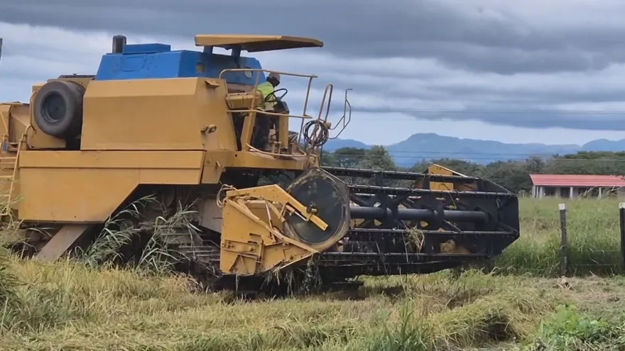 Rice growers in Coclé discussing production costs and the impact of higher fuel prices on rice farming