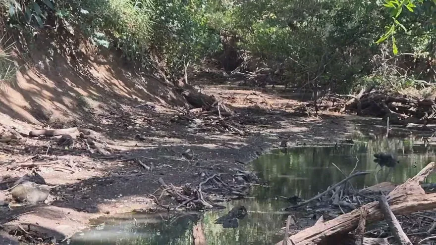 Low river levels in a Panamanian watershed with exposed banks and reduced water flow