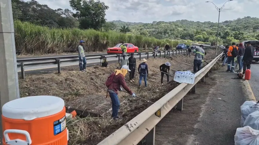 Residents and municipal workers cleaning the median strip along Centenario road in Arraiján