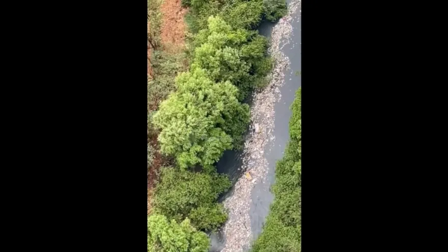 Floating trash and solid waste collected at the mouth of the Matías Hernández River after heavy rain
