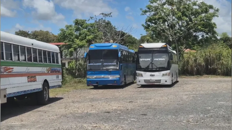 Public buses and transport vehicles operating on a busy road in Panama Oeste with commuters nearby