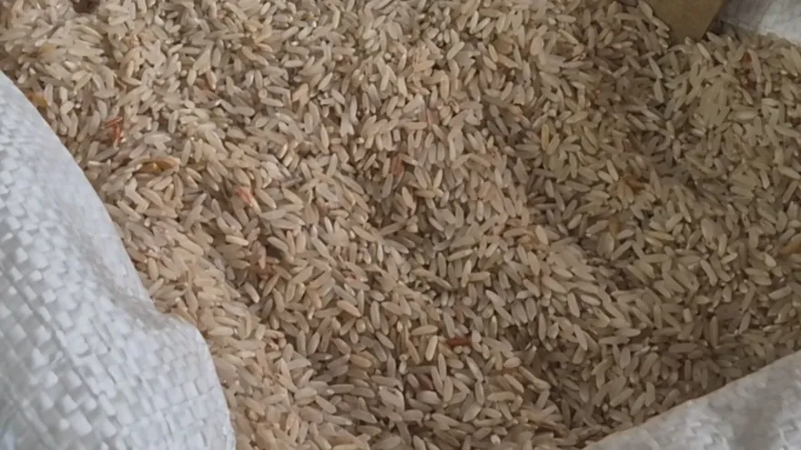 Rice sacks stacked in a warehouse or mill in Panama, reflecting the national debate over rice pricing and food security.
