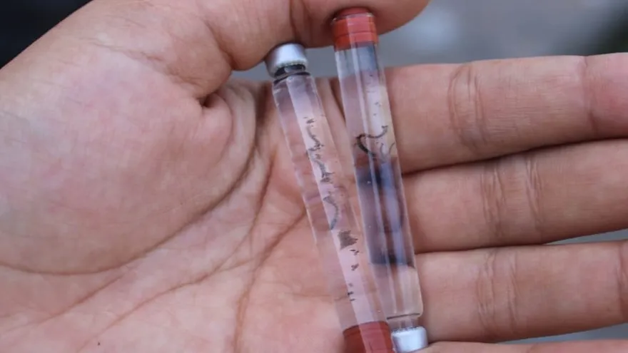 Health workers or community members removing standing water and clearing mosquito breeding sites in a neighborhood in Panama