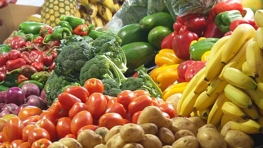 Panamanian officials discussing food security measures and food waste reduction policies