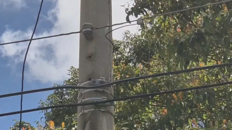 Residents in a rural Panama community watching for Africanized bees near homes and vegetation in Capira