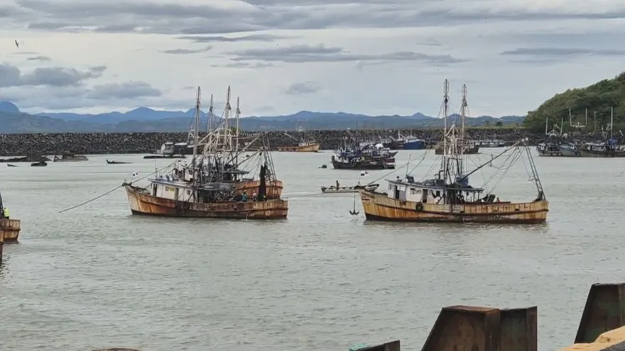 Shrimp fishing boats and nets in Panama’s coastal waters during the reopening of the fishing season