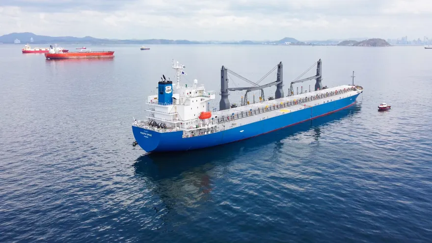 Panamanian-flagged cargo ships docked in a busy international port under inspection