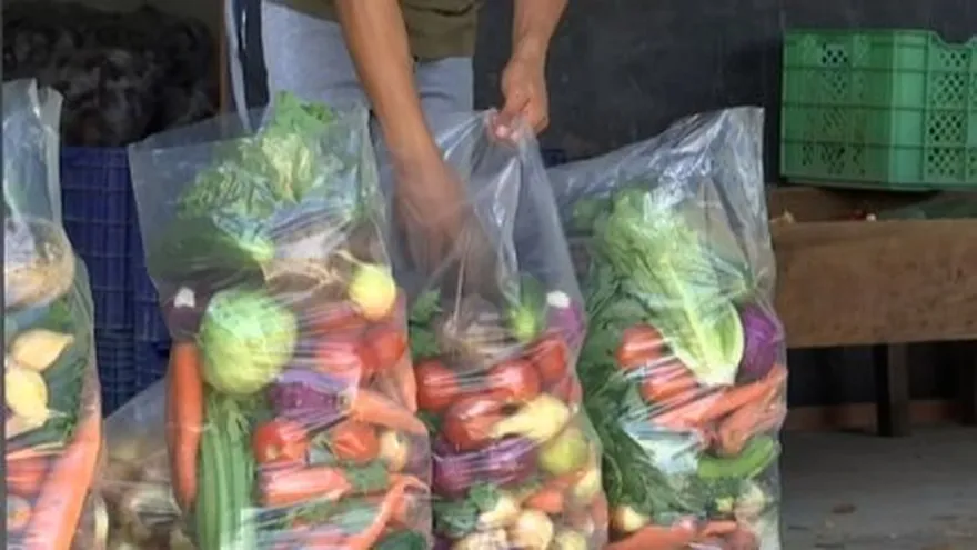 Shoppers at a market in Panama registering online to reserve bags of legumes for purchase