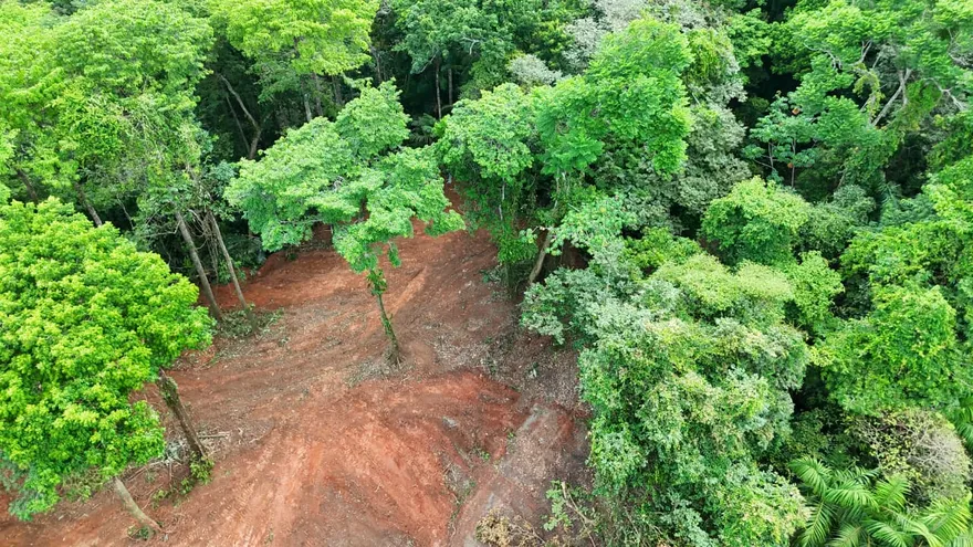Environment Ministry personnel inspecting cleared forest land near Gatun Lake with machinery on site
