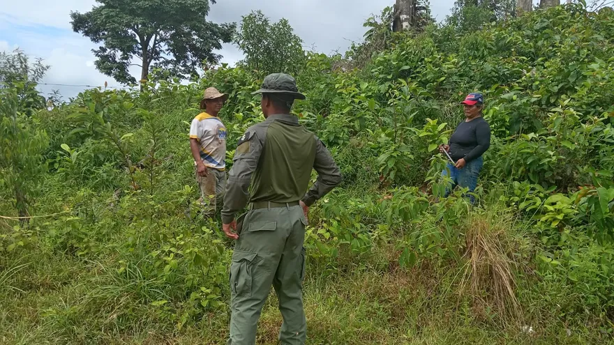 Officials or patrol teams monitoring a forested area in Donoso, Colón province, to detect illegal mining activity