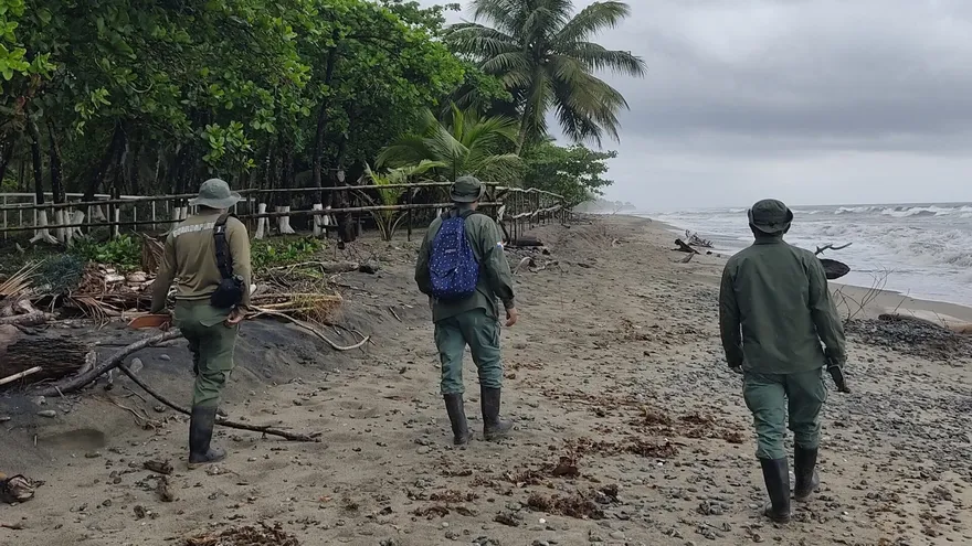 Park rangers walking through a forested national park in Veraguas during wildlife protection patrols