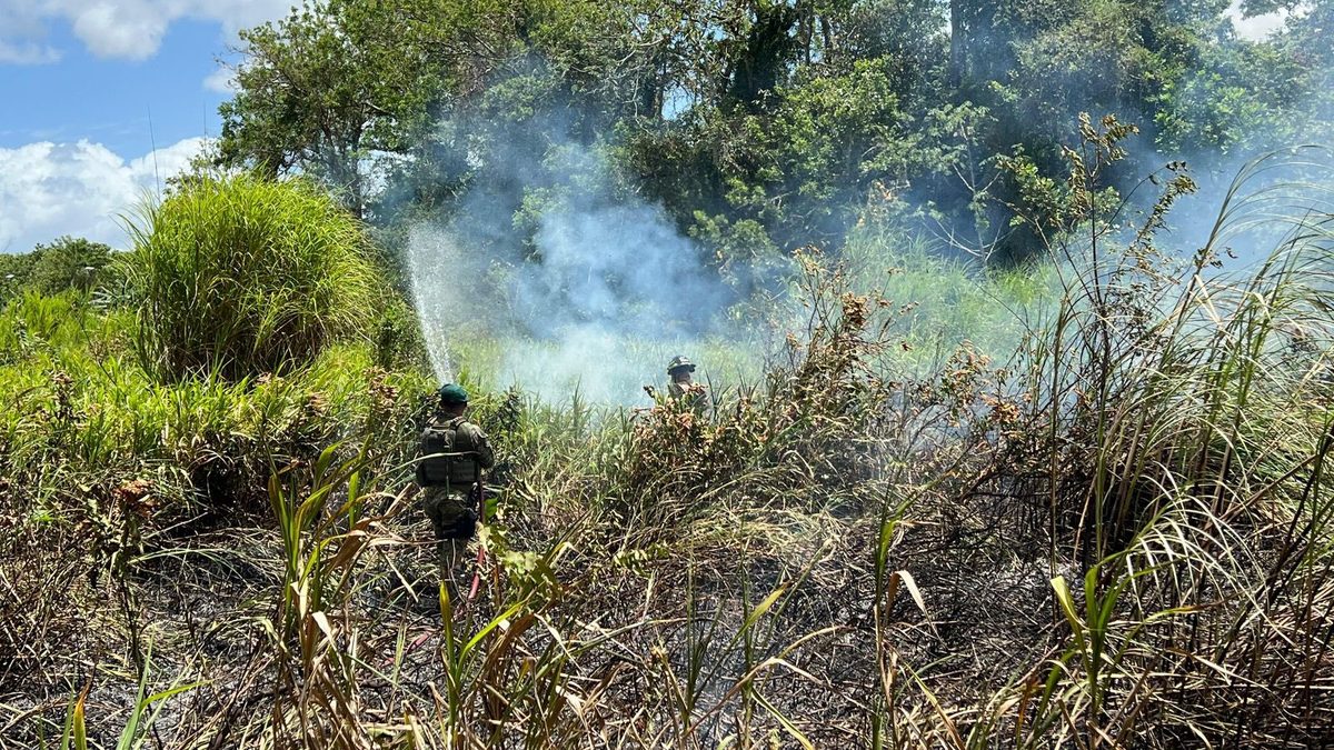 Firefighters working near dry vegetation in Chepo as smoke rises from a controlled brush fire