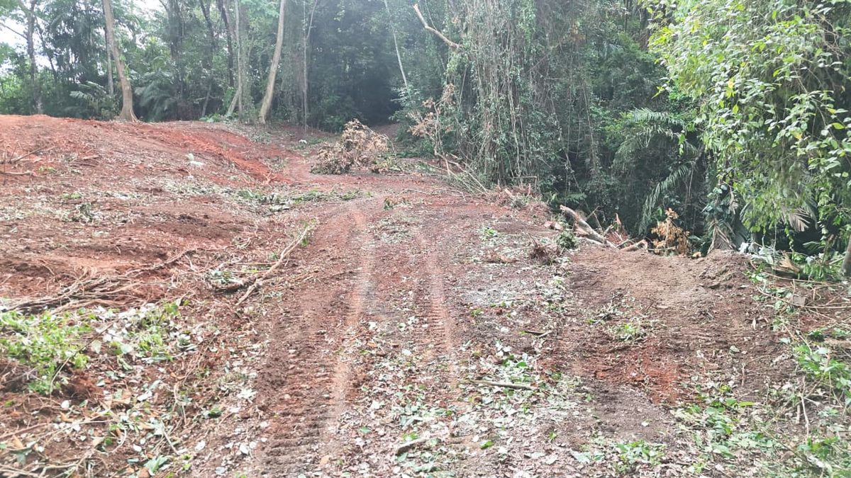 Environment ministry officials stopping illegal logging machinery near a forested protected area in Colón by Gatun Lake
