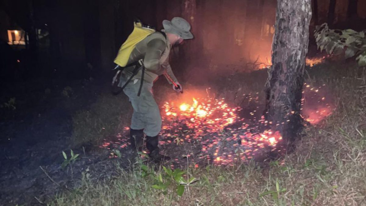 Guardaparques responding to a vegetation fire in Chepo near a residential area in Panama