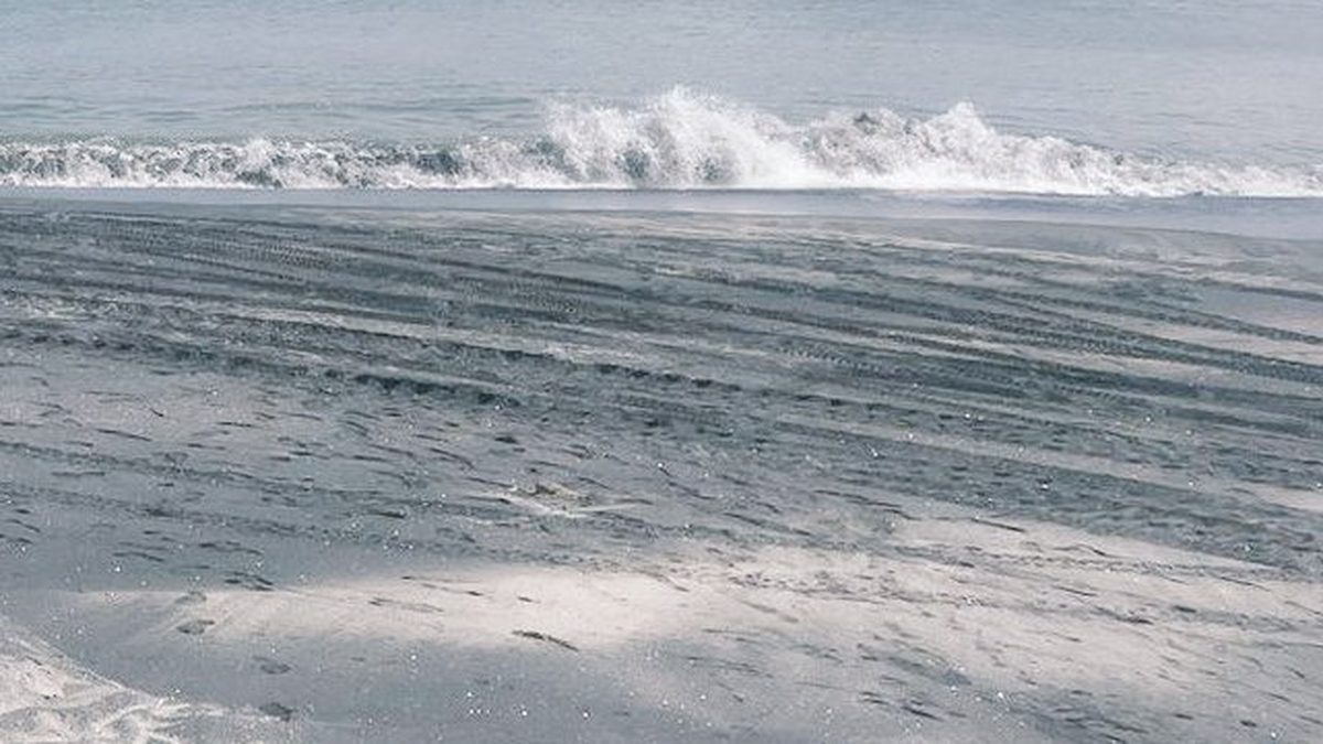 Waves crashing along Panama’s coastline under strong wind and rough sea conditions