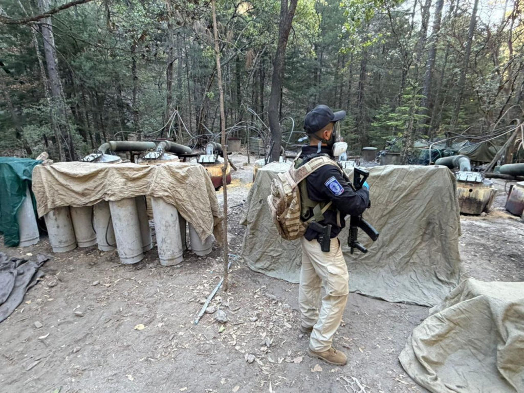 Police and emergency vehicles near a crash scene on a mountainous road in Mexico