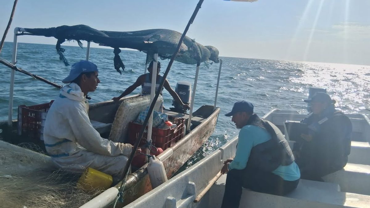 Fishing boats preparing to head out at a Panamanian coastal port as shrimp season begins
