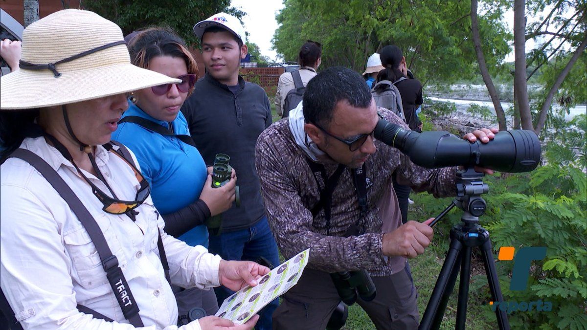 Birdwatchers in Panama observing tropical birds in a lush forest habitat during Global Big Day