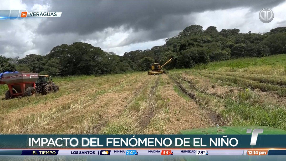 Agricultural officials in Veraguas monitoring farmland and speaking with local producers during El Niño preparations