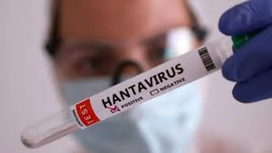 Health experts reviewing crisis response documents related to a hantavirus outbreak in Panama